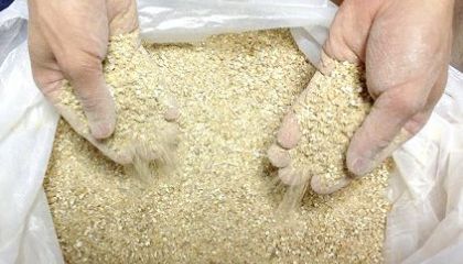 Как сварить пиво в домашних условиях: классический рецепт