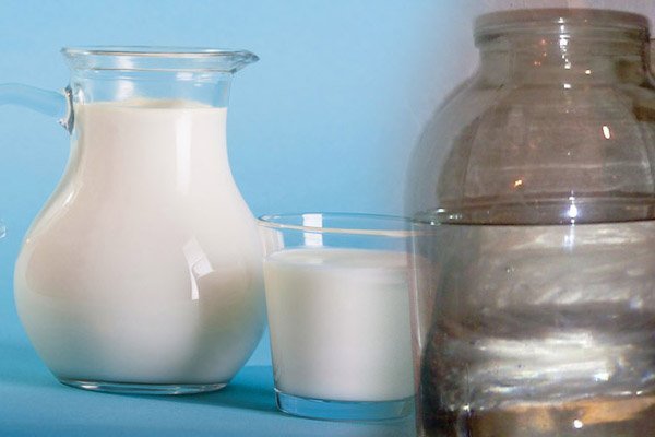 Самогон из молока и молочных продуктов