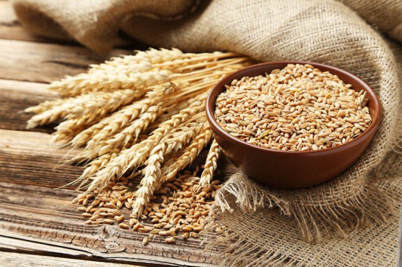 Рецепты самогона из пшеницы без сахара