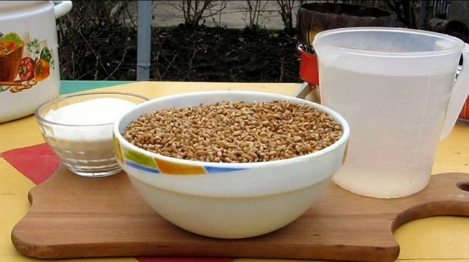 Простой рецепт пшеничного самогона в домашних условиях