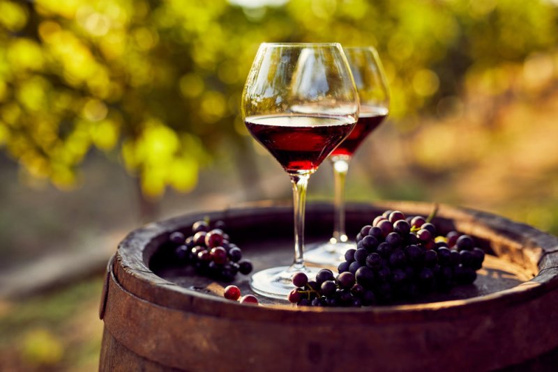 Что такое виноматериал и его разновидности