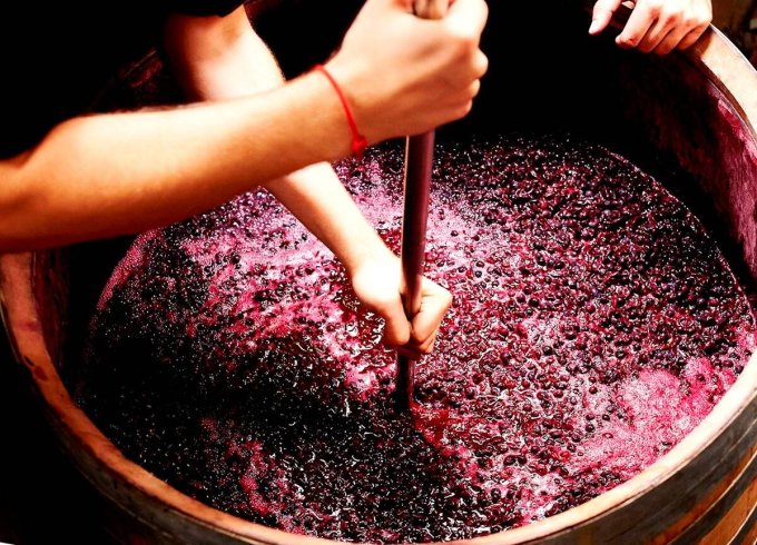 Изготовление вина