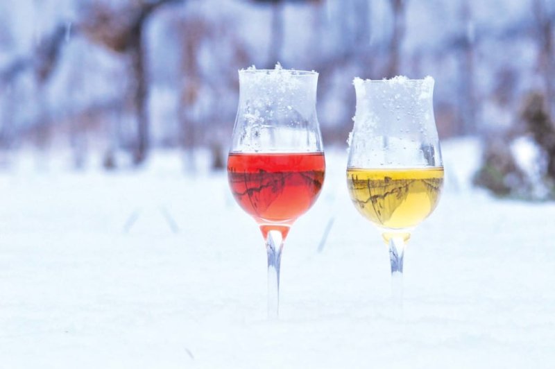 Что делать, если вино замерзло?