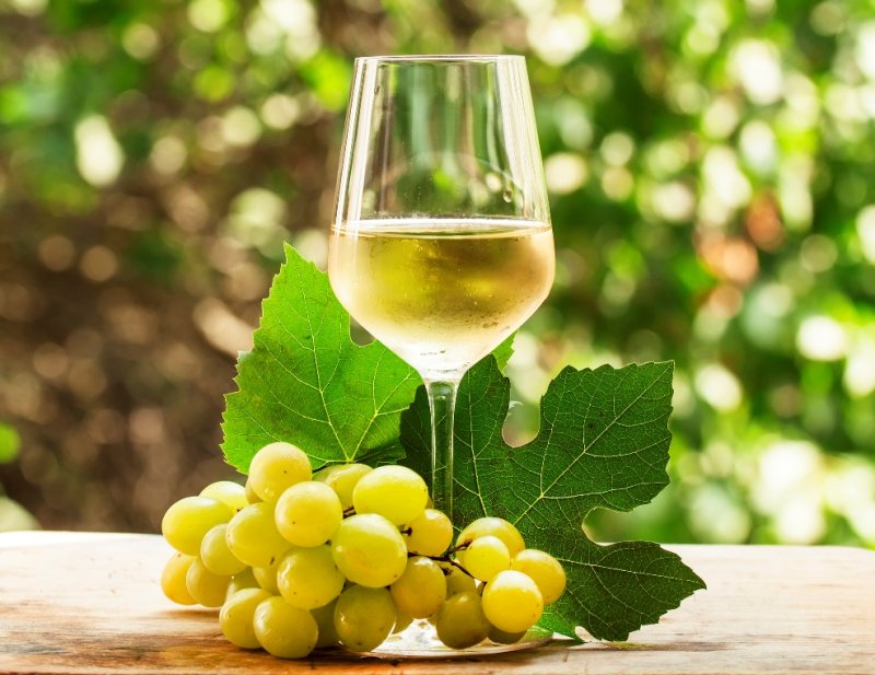Виды белых вин и сорта винограда для них
