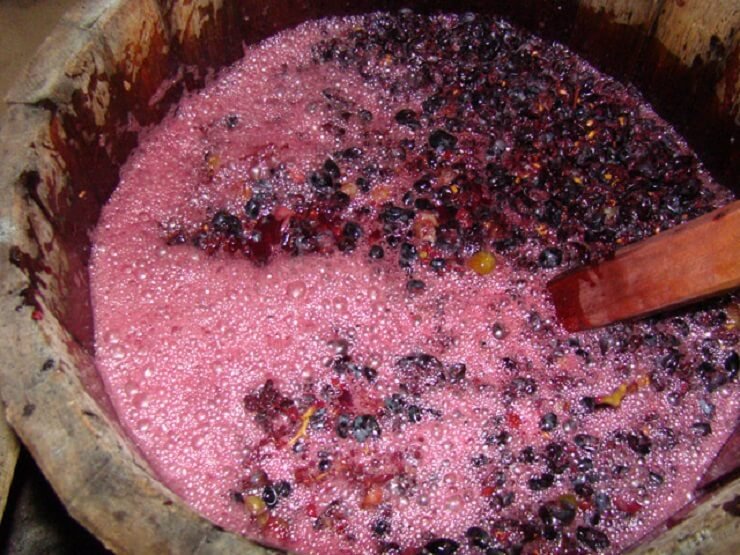 Виноградное сусло и его предназначение