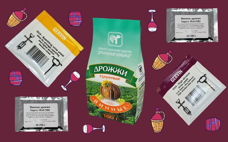 Винные дрожжи и чем они отличаются от спиртовых и хлебопекарных