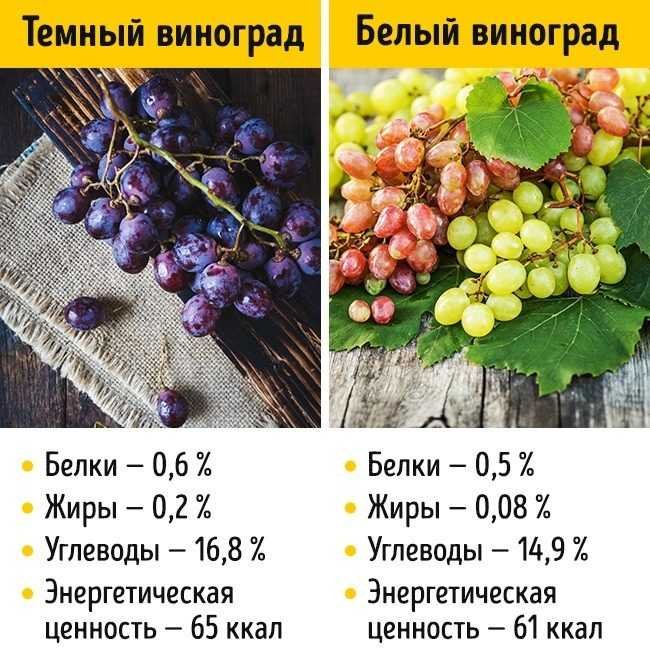 Калорийность винограда