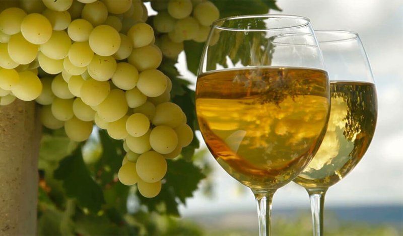 Белые винные сорта винограда