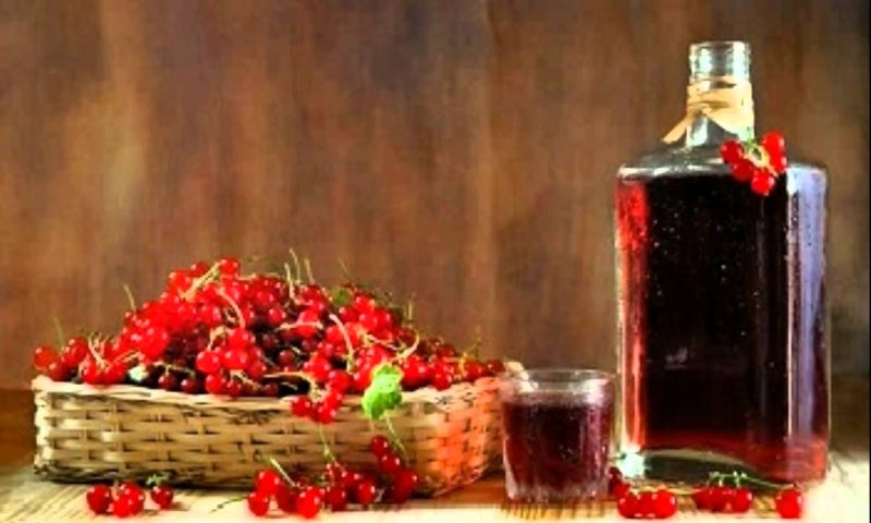 7 рецептов домашнего вина из красной смородины