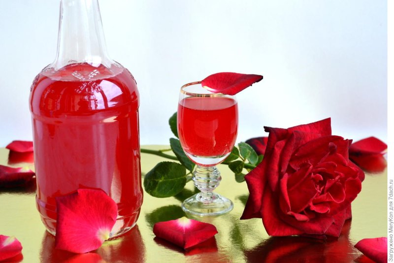 Домашнее вино из лепестков роз