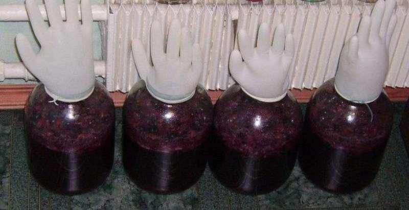 13 рецептов домашнего вина из винограда