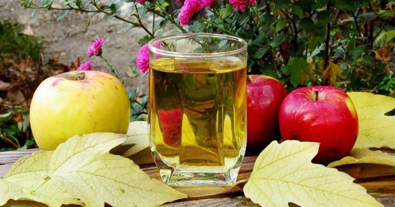 10 рецептов домашнего вина из яблок