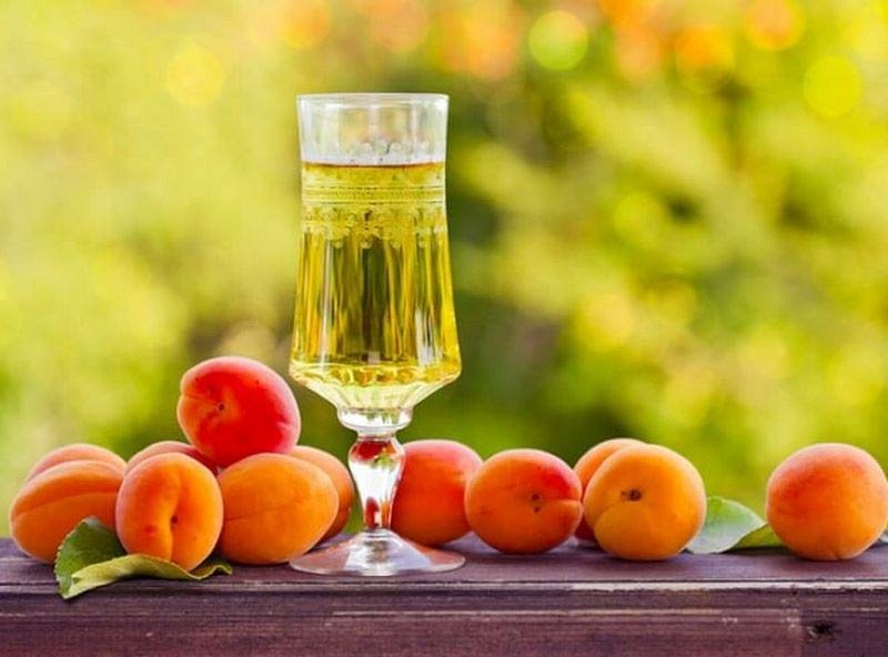 15 рецептов домашнего вина из абрикосов