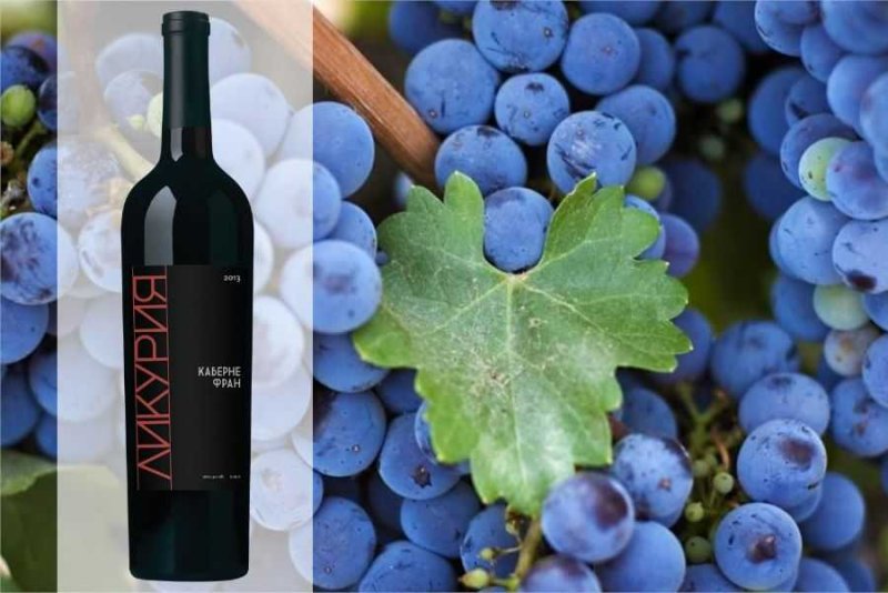 Виноград и красное вино Каберне Совиньон